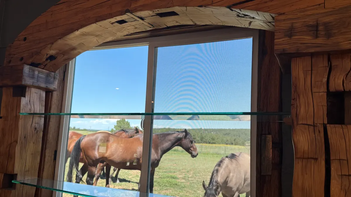 Window framed in rough-hewn timber with a glass shelf, horses grazing outside