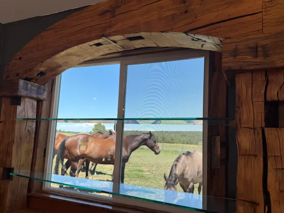 Window framed in rough-hewn timber with a glass shelf, horses grazing outside