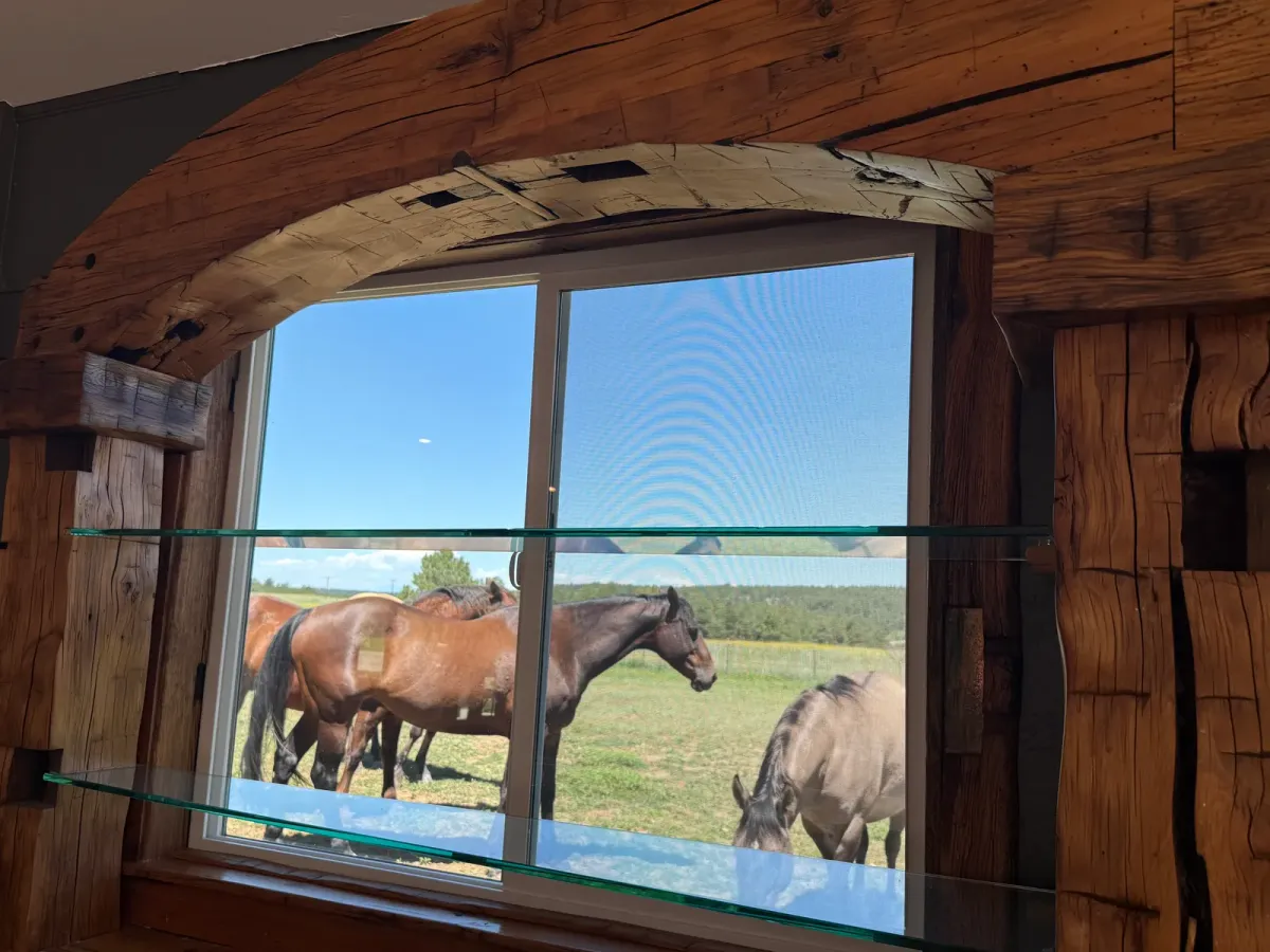 Window framed in rough-hewn timber with a glass shelf, horses grazing outside